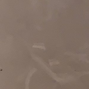 Meet your Posher, Alan